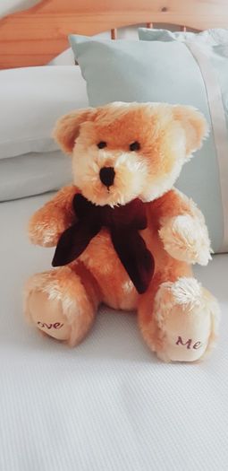 Love Me Teddy Bear