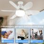 Brand New DBFAIRY 52CM Ceiling Fan with Lighting and Remote Control, Image 4