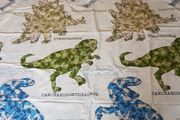 Dinosaur Duvet Sets