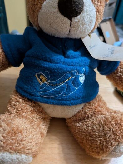 airline bears eur 10 each