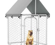 Outdoor Dog Kennel with Roof 100x100x150 cm
