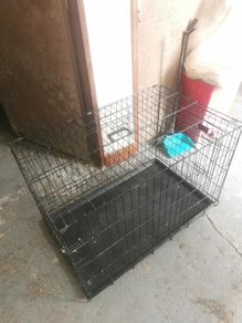 Large Dog Crate