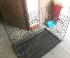 Large Dog Crate