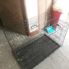 Large Dog Crate