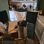 Kitchen Image 2