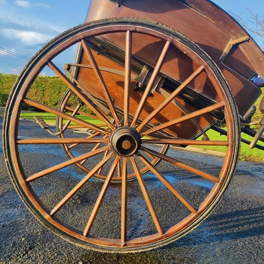 Horse Carriage