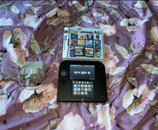 Nintendo 2ds With Pokemon diamond and R4 card