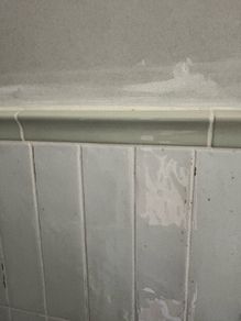 Mandarin Stone - Sage Ceramic Cornice tiles