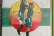 Rising Sons- Ireland's Eastern Odyssey DVD World Cup 2002 Roy Keane Robbie Keane FAI