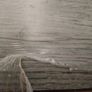 Prague Oak laminate flooring Image 2