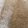 carpet Image 3