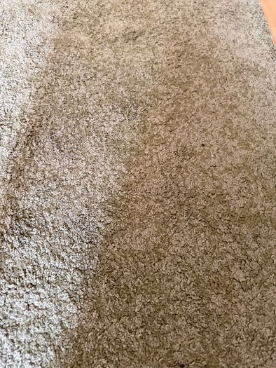 carpet
