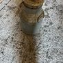 Metal milk churn Image 5
