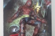 the amazing spider-man - the gauntlet