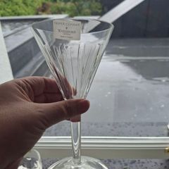Waterford Crystal Jasper Conran Martini Glasses x 2