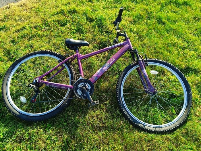 2 Ladies'/teenagers' bikes