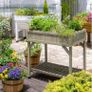 VegTrug Raised Herb Garden Image 4