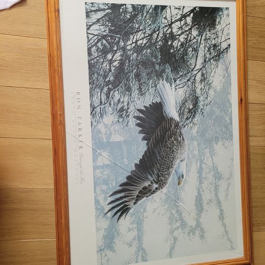 Pictures photos  Frames large X3