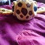 Bigeye turtle teddy (Fiesta) Image 2