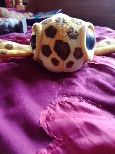 Bigeye turtle teddy (Fiesta)