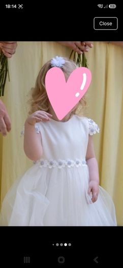 flower girl dress
