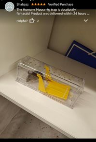 Mouse Trap