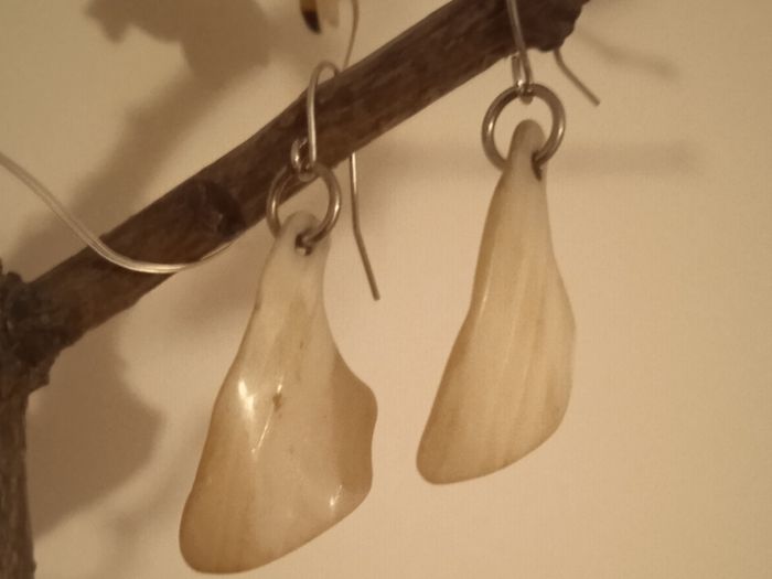 Shell earrings