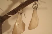 Shell earrings