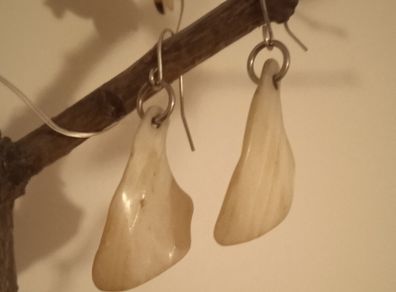 Shell earrings
