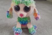 Poodle beanie boo