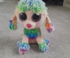 Poodle beanie boo