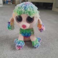 Poodle beanie boo