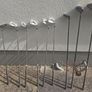 Golf Clubs Image 4