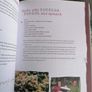 The Camper Van Cookbook Life on 4 wheels Image 2