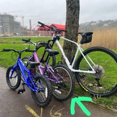 Girls aluminum bike for sale