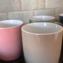 mugs Image 5