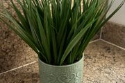 Home decor Carolyn Donnelly articula plant