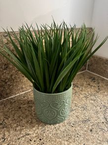 Home decor Carolyn Donnelly articula plant
