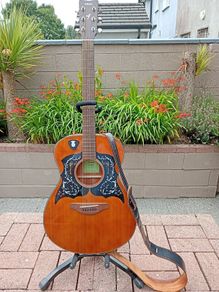 Yamaha FS800 - Acoustic Guitar
