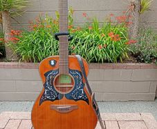 Yamaha FS800 - Acoustic Guitar