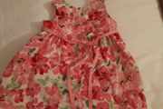 Girl's Occasion Wear (dressy) Age 3-6 months