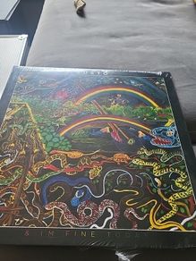 Susto and im fine today vinyl