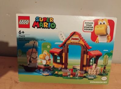 lego 71422 Picnic at Mario's House