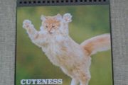 Cat themed flip book, Gift. Book.Mother's Day gift
