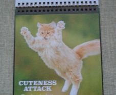 Cat themed flip book, Gift. Book.Mother's Day gift