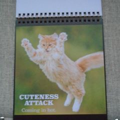 Cat themed flip book, Gift. Book.Mother's Day gift