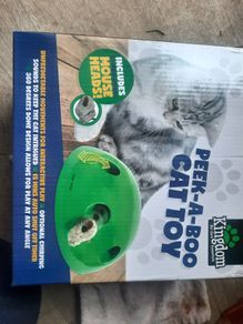 Electronic Cat toy