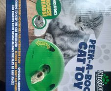 Electronic Cat toy