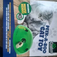Electronic Cat toy