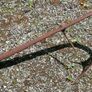 Section of Pierce No:3 Plough Part Image 4